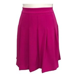 J Crew Skirt Womens 4 Pink Crepe Pleated Flare Skirt Lined Back Zip Skater